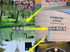 -陈记菜馆·非遗淮扬菜(东关街教场店)