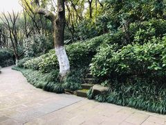 -杭州半山国家森林公园