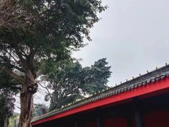 -大佛禅院