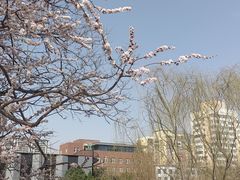 -元大都城垣遗址公园