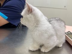 -爱诺耐芙动物医院(万博店)