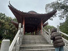 -柳侯公园