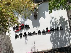 -慢丽江·云南野生菌土鸡锅(付家庄店)