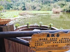 -天目湖山水园