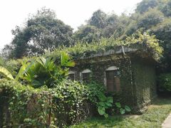 -中国科学院西双版纳热带植物园