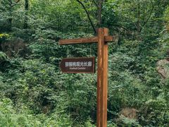 -大岭沟猕猴桃谷风景区