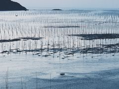 -北岐滩涂