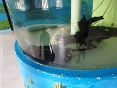 -泉州海丝野生动物世界