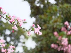 -阳澄湖费尔蒙酒店
