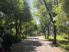 -东湖落雁景区