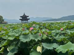 -西湖游船