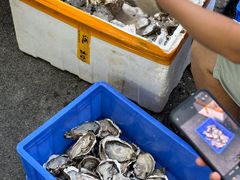 -冯姐生蚝(长隆横琴店)