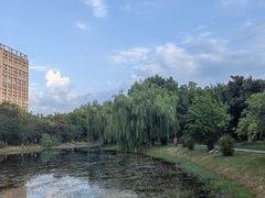 -堤角公园