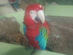 -石家庄市动物园