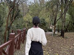 -南京市江宁方山