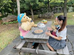 -济州岛泰迪熊博物馆