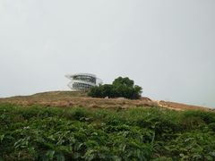 -光明小镇欢乐田园