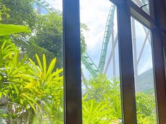 -雨林餐厅(长隆海洋王国店)