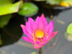 -三亚南山文化旅游区