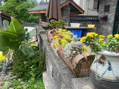 -马村鱼头