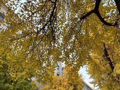 -老鼎万春卤菜(五代传承创始老店)