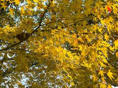 -宁波市保国寺古建筑博物馆