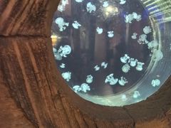 -华夏文旅西安度假区