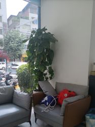 -蕾特恩专业祛痘·皮肤管理