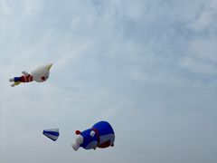 -武昌江滩