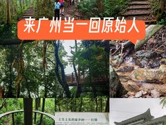 -广州市帽峰山景区