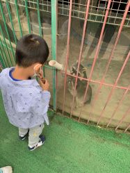 -萌宠亲子动物乐园(槐房万达店)