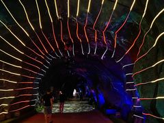 -栾川竹海野生动物园