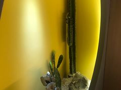 -得闲·高空SPA(东盟店)