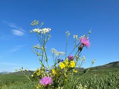 -塞罕坝国家级自然保护区