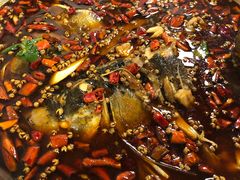 -味之绝热血美蛙鱼火锅(中坝店)