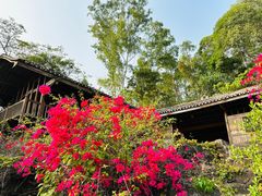 -深圳国际园林花卉博览园