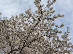 -杭州城北体育公园