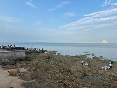 -烟台海昌鲸鲨海洋公园