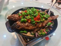 翠清特色臭鳜鱼-翠清酒家(万丰路店)