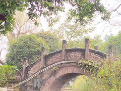 -桂湖森林公园
