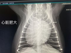 -顽皮家族宠物医院(浦东北园路分院)