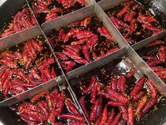 红锅-重庆老火锅王(西安北路店)