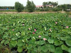 -渔岛海洋度假区