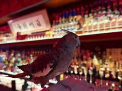 -鸡尾酒实验室酒吧(隆礼路店)