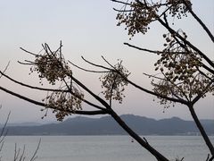 -木木鲜海鲜面(天一店)