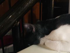 -凡人&庄阿姨的辣(万寿亭店)