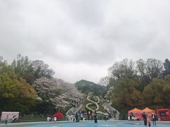 -杭州少年儿童公园