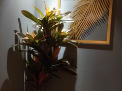 -得闲·高空SPA(东盟店)