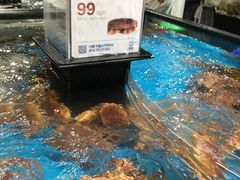-盒马鲜生(曜一城店)