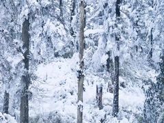-瓦屋山景区